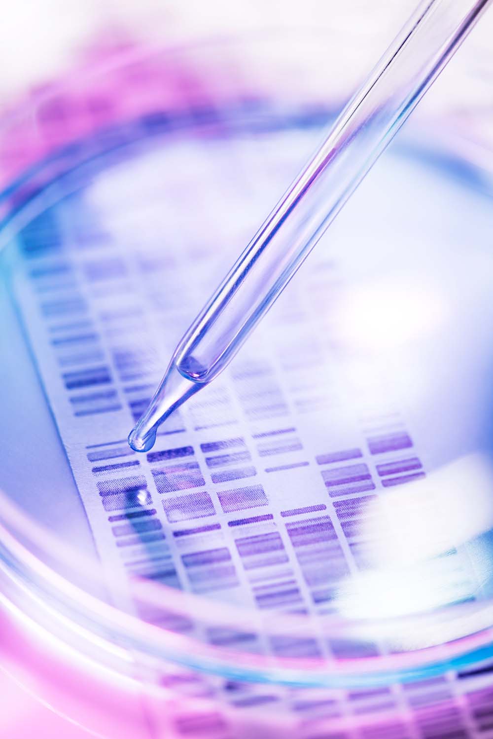 DNA sample being pipetted into petri dish with DNA gel in background